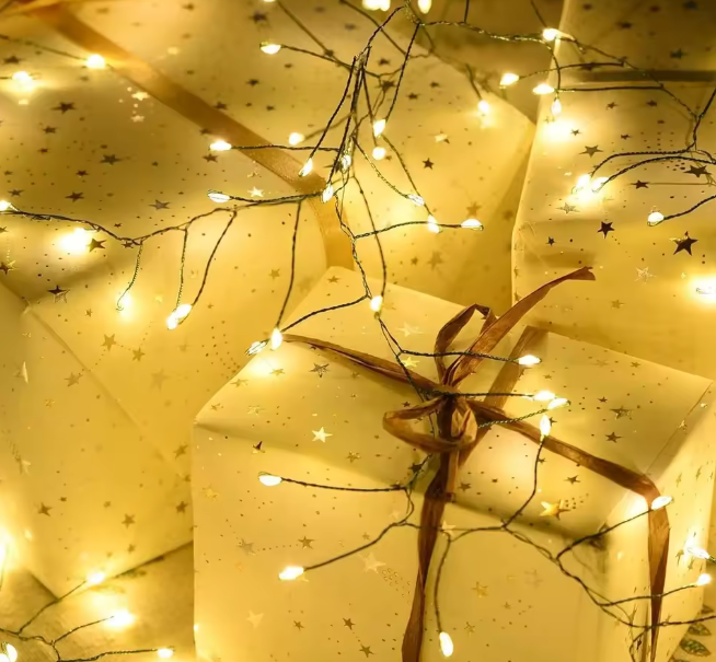 Christmas LED lights