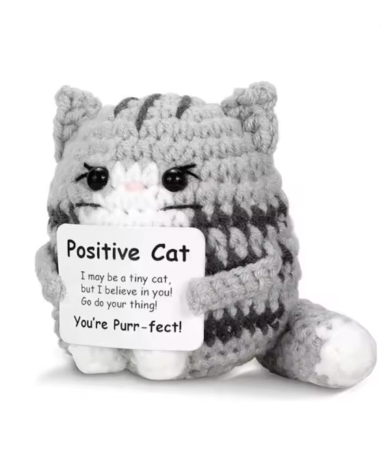 Positive Cat Crochet doll