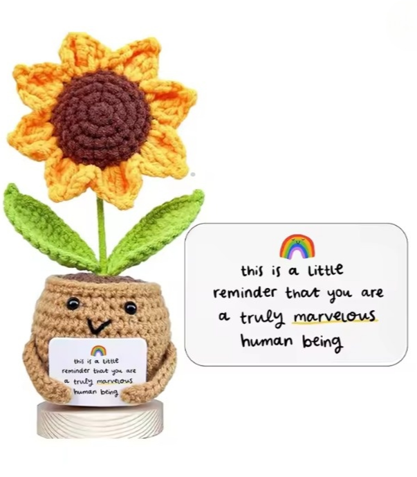 Adorable Crochet dolls — Handmade Positive Message Dolls (5 Styles)